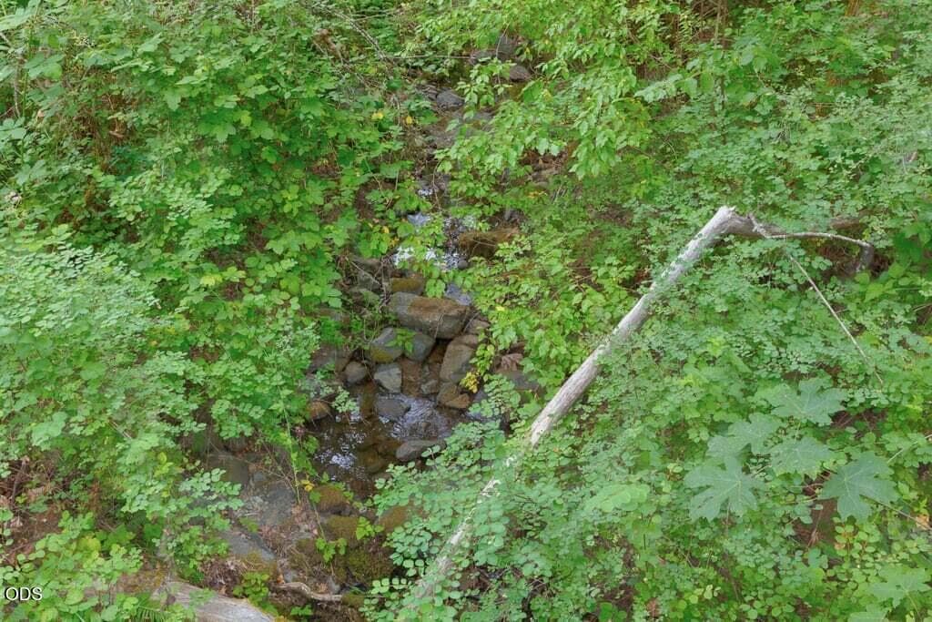 Photo of 1215 Jones Creek 5 of 12