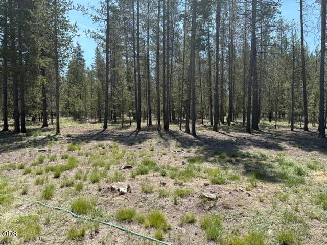 Photo of 149935 Kurtz Road 33 of 40