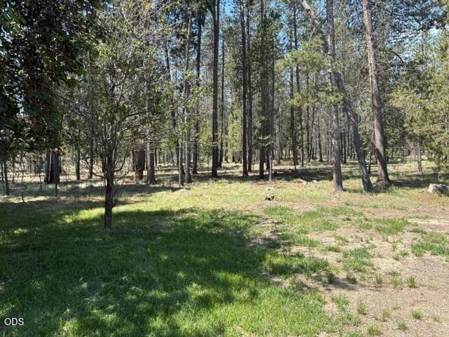 Photo of 149935 Kurtz Road 35 of 40
