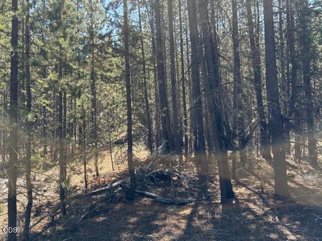 Photo of 27 Surveyor 5 of 10