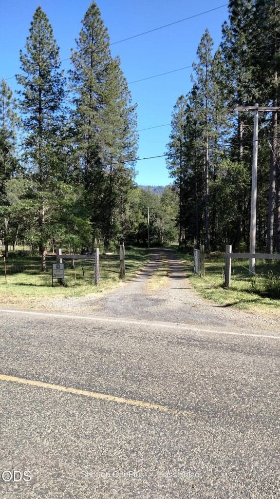 Photo of 575 Kirkham Road 2 of 50