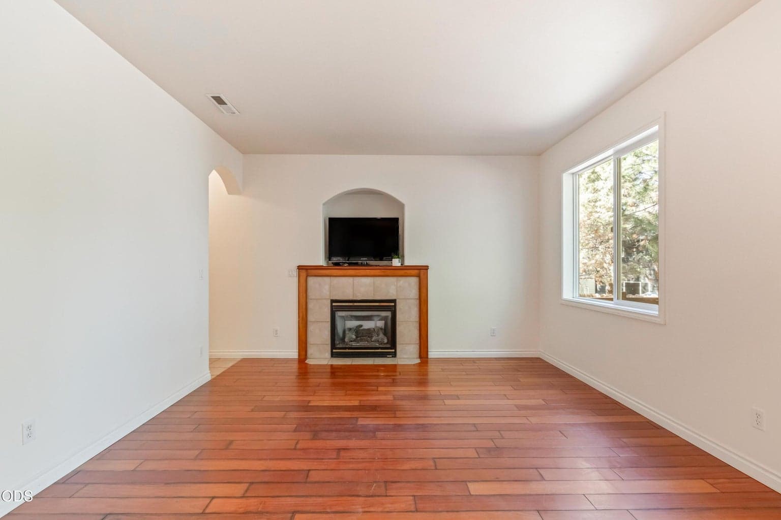 Cozy gas fireplace in the living room