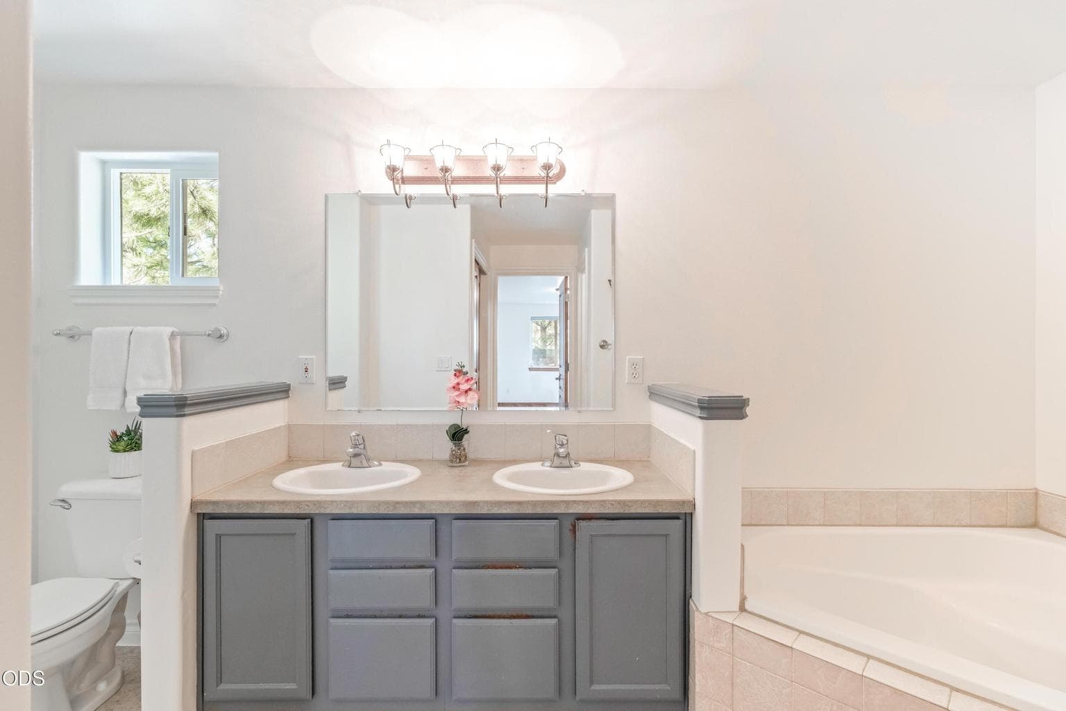 Dual vanity