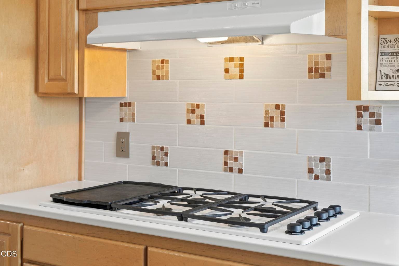 Propane cooktop