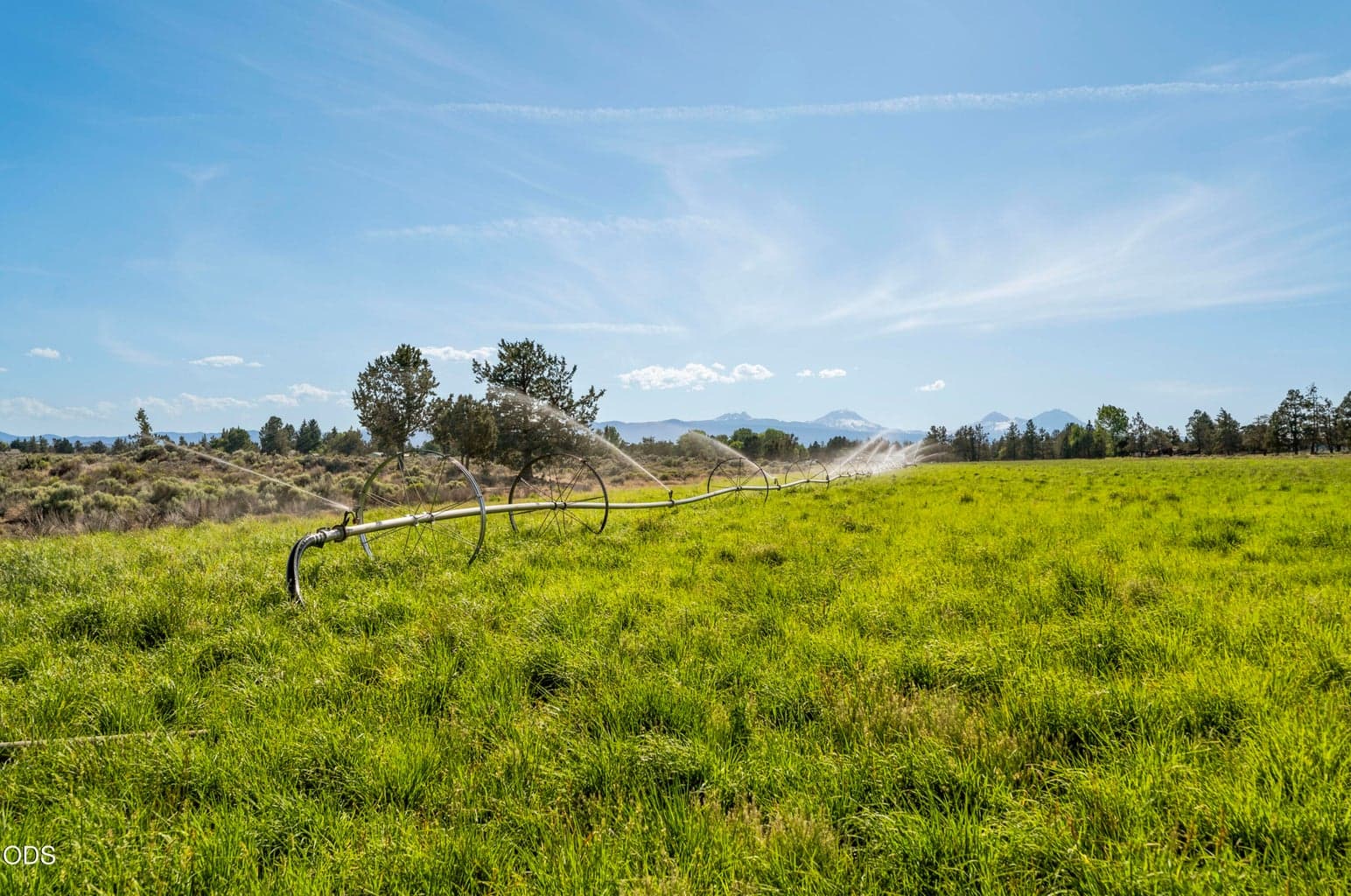 Crop-producing front fields at the entrance to Starwood