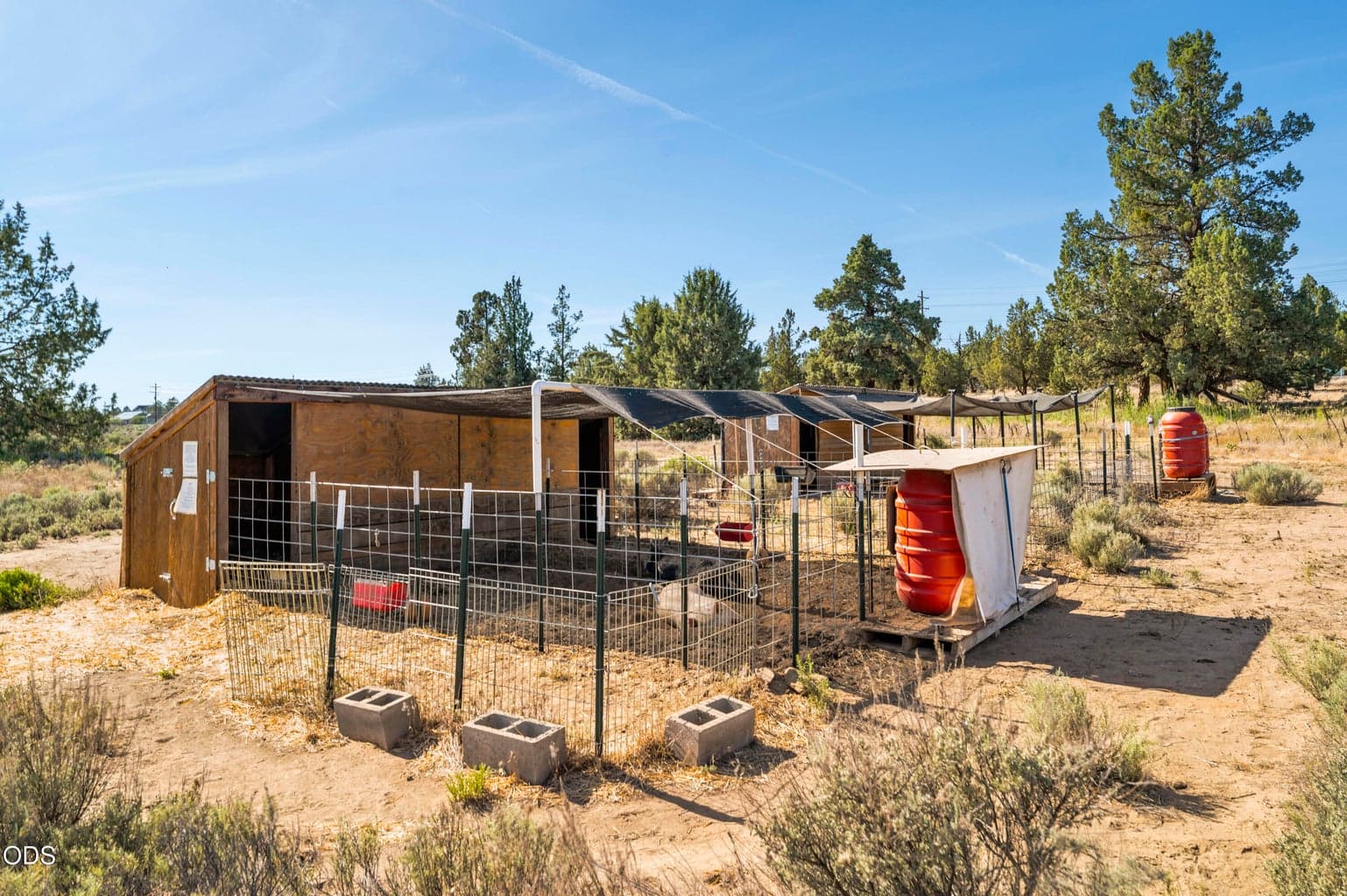 Designated remote 4H area for Starwood kids