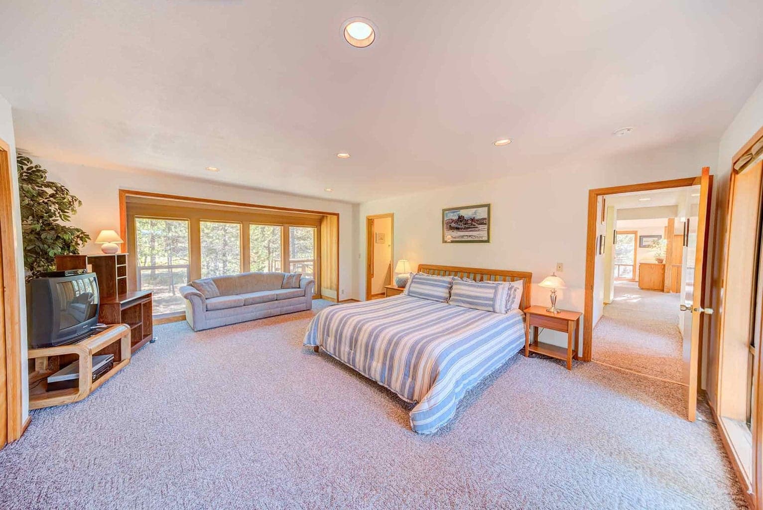 Photo of 57598 White Elm 19 of 32