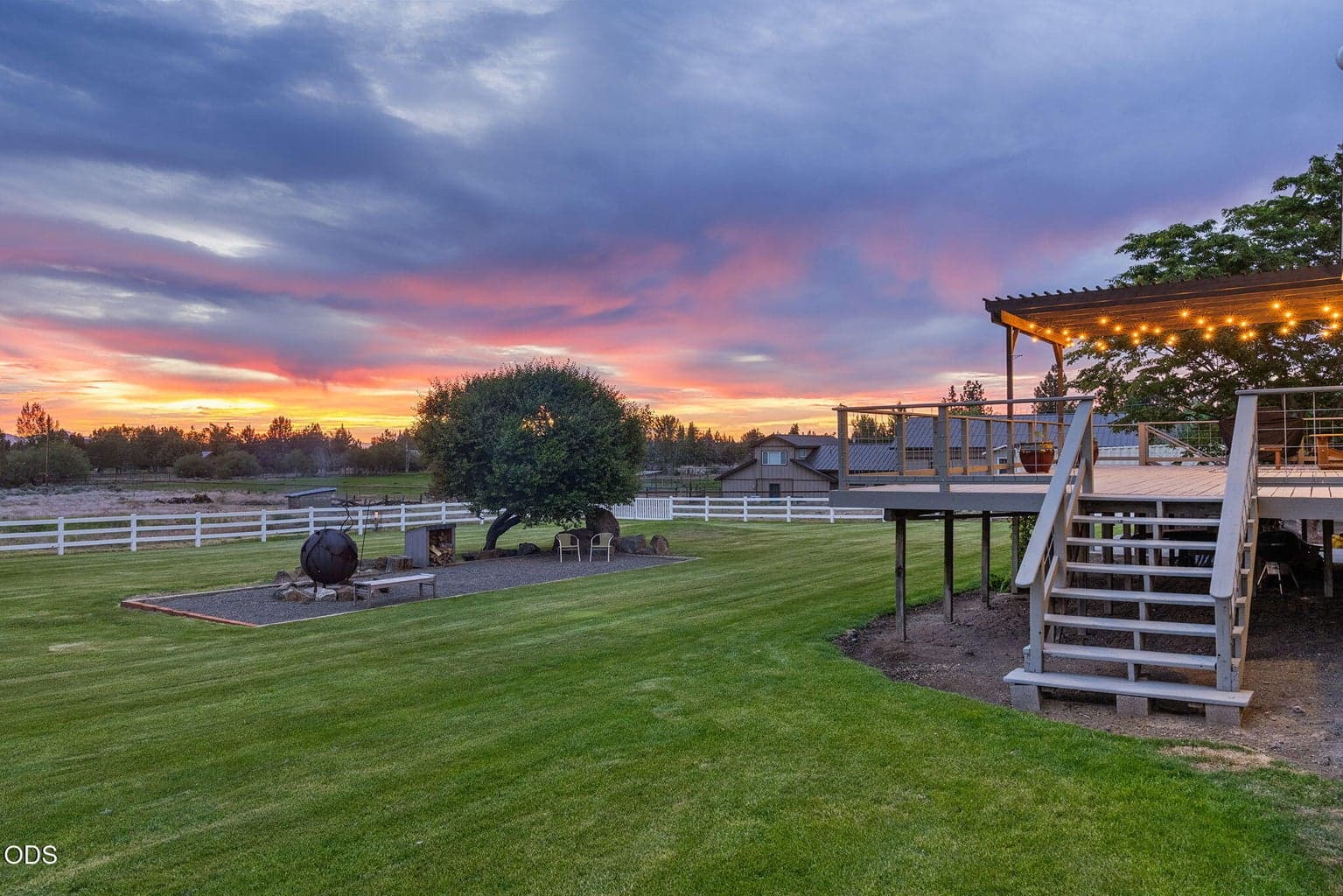 View of backyard