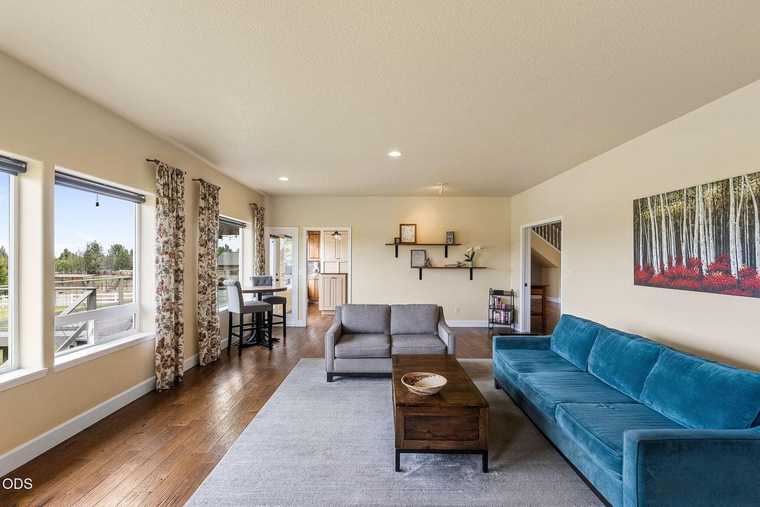 Spacious living room