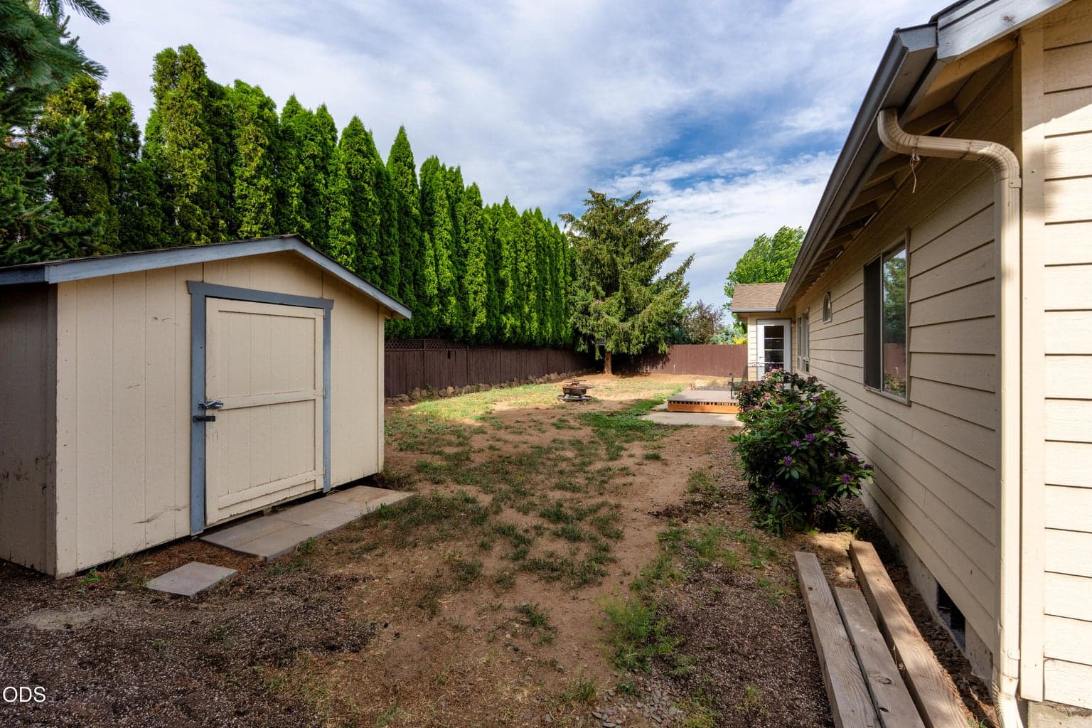 Back yard