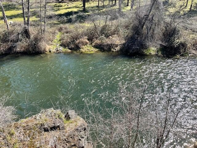 Applegate River view from the property
