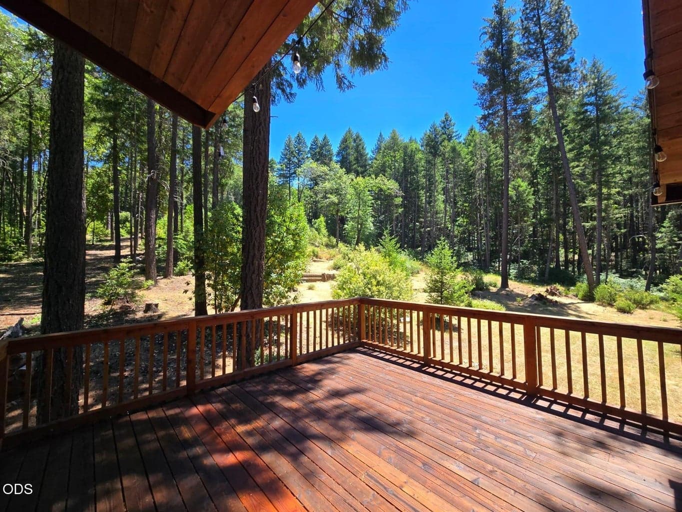 Photo of 707 McMullen Creek Road 5 of 54