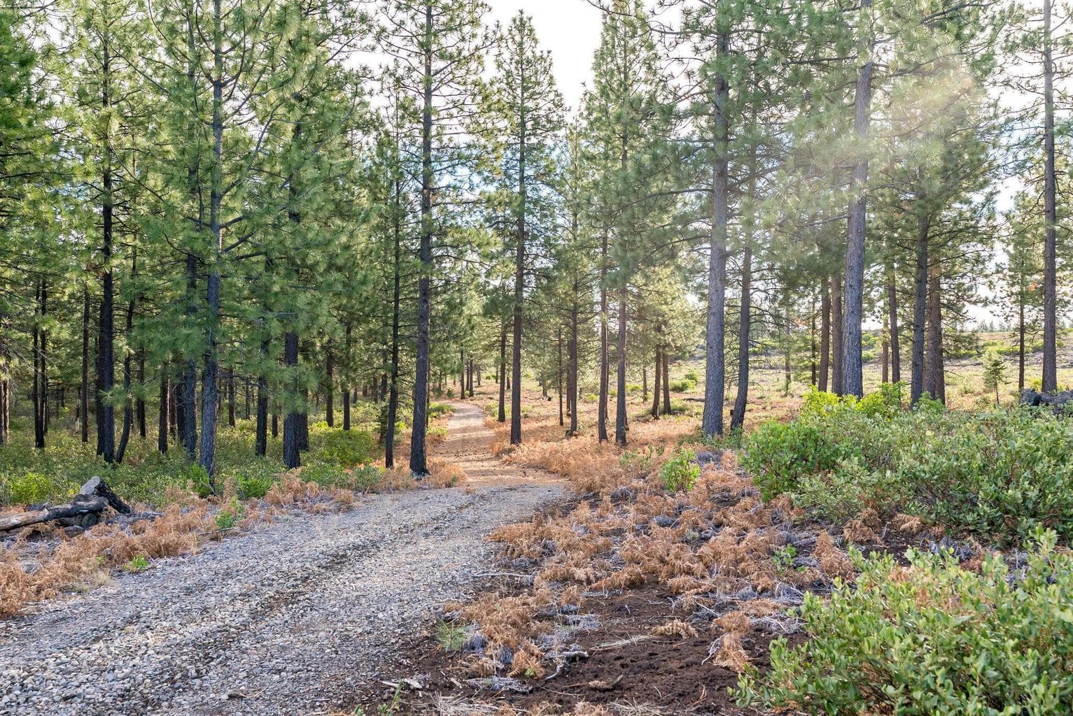 Photo of 70410 McAllister Road 12 of 28