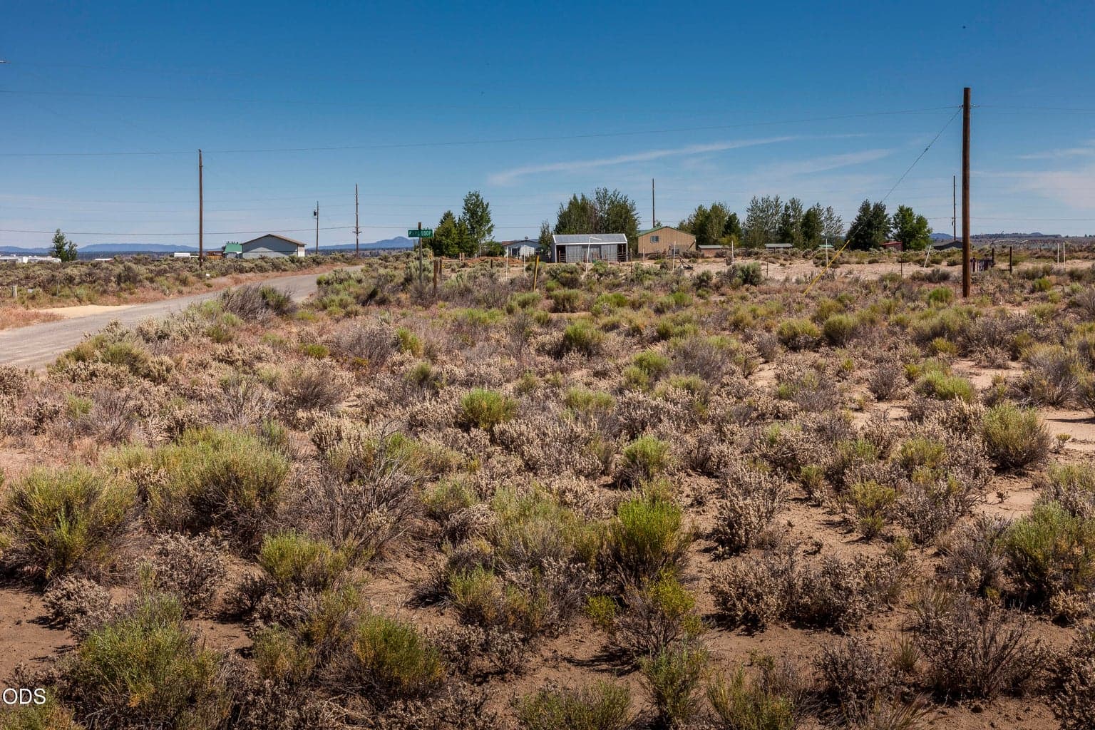 Southwest corner of the parcel (approximate) looking North.