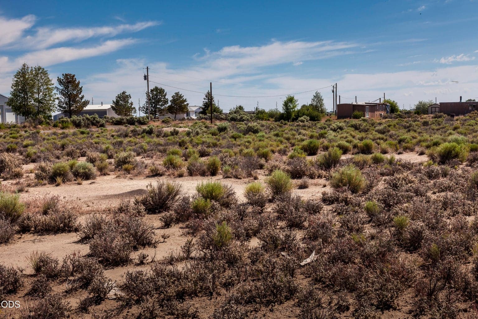Southwest corner of the parcel (approximate) looking Northeast.
