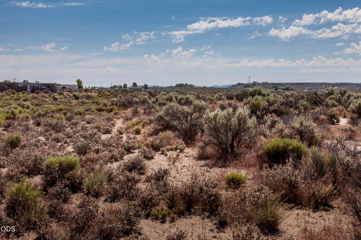 Southwest corner of the parcel (approximate) looking East.