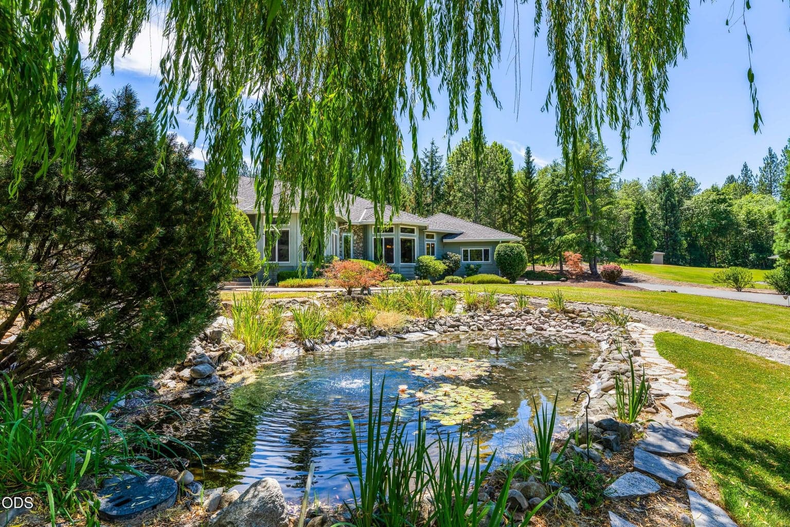 Breathtaking waterfall, koi pond and huge weeping willow at entrance/front yard