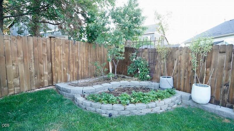 Established yard