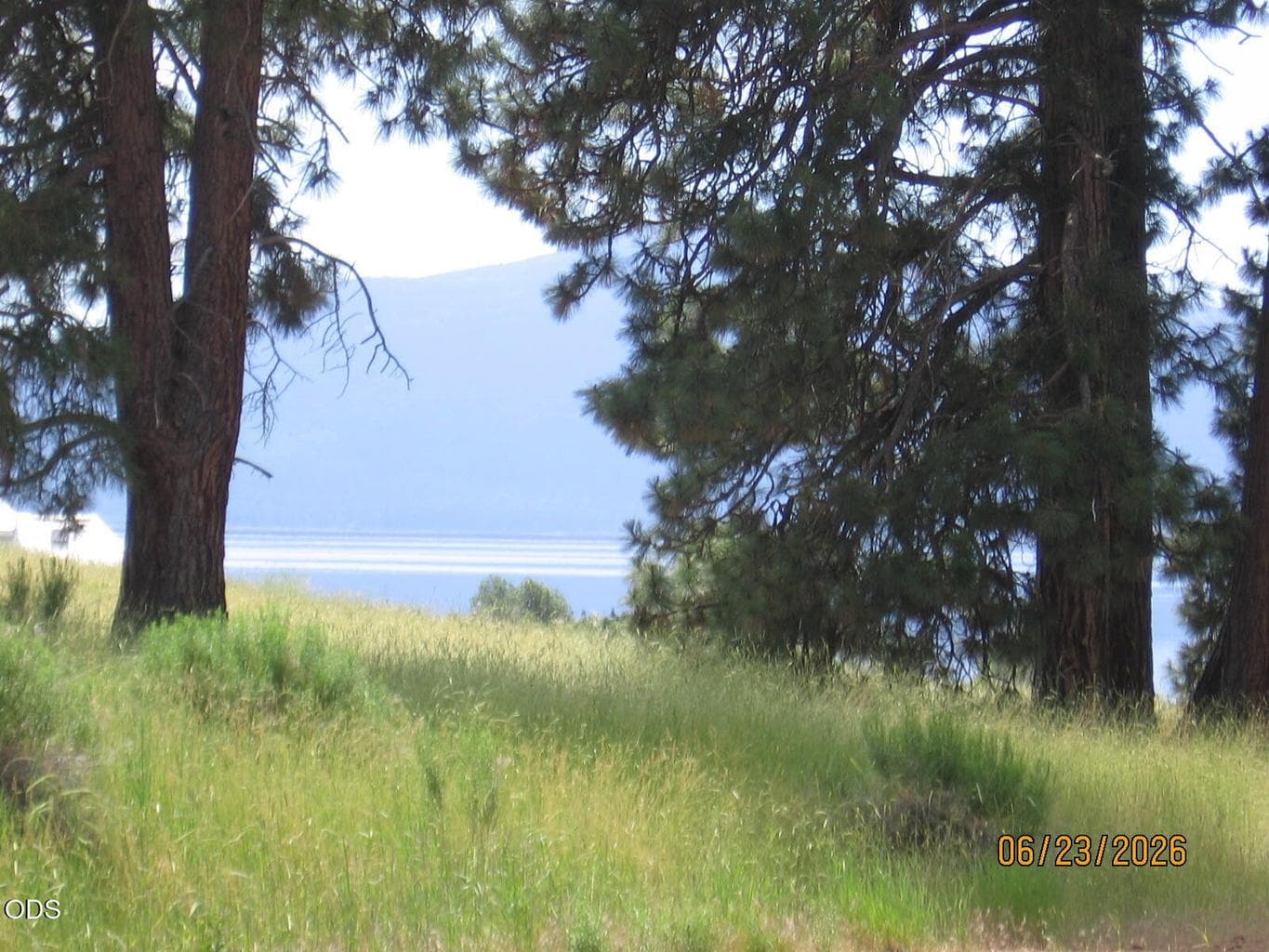 Photo of Elkwood 3 of 15