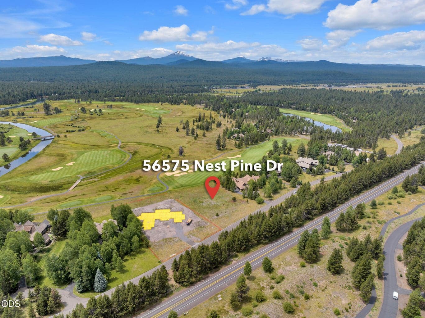 Photo of 56575 Nest Pine 3 of 23