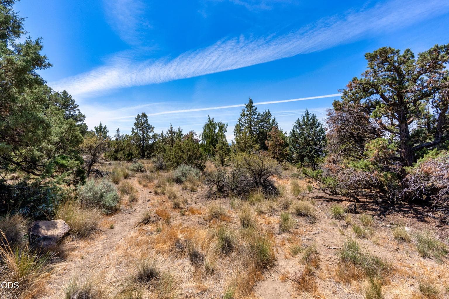 Photo of 4047 SW Wickiup Court 8 of 10