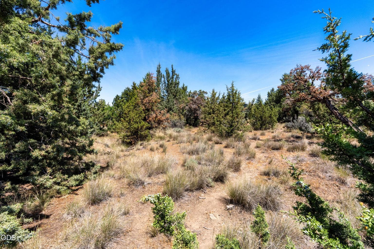 Photo of 4047 SW Wickiup Court 9 of 10