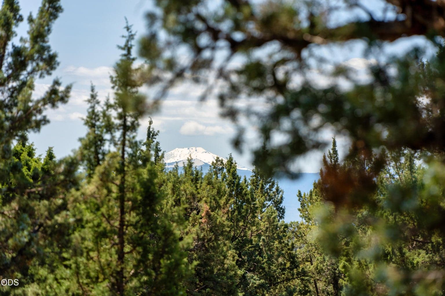Photo of 4047 Wickiup 4 of 10