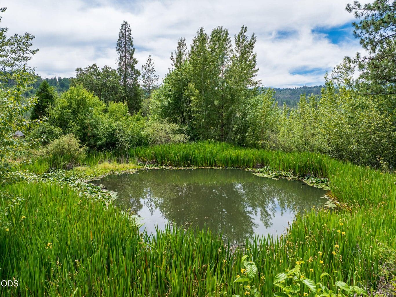 Photo of 11598 Butte Falls 3 of 24