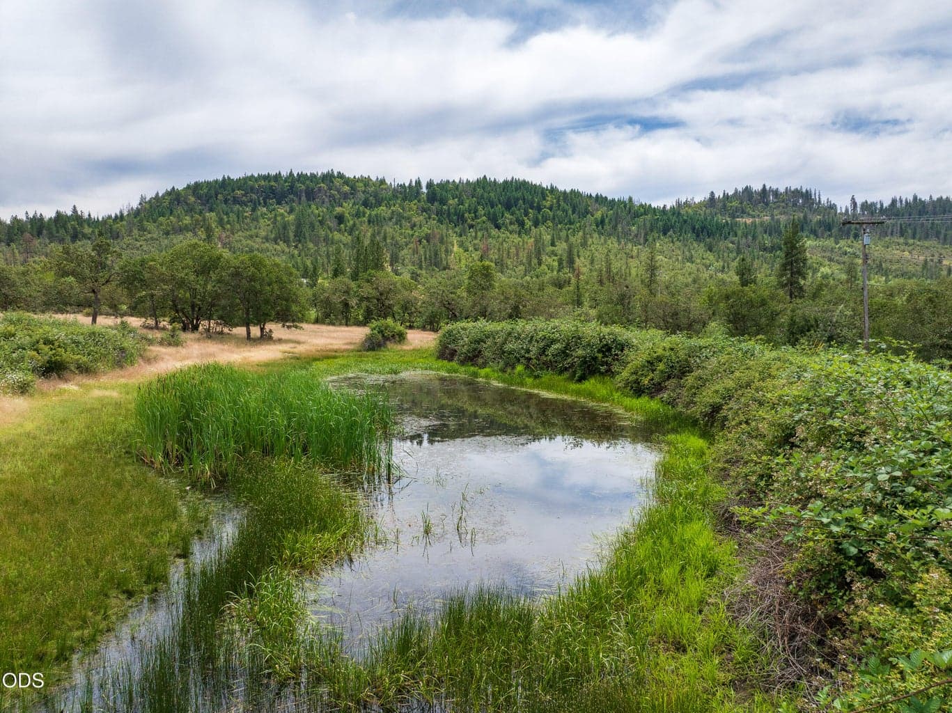 Photo of 11598 Butte Falls 4 of 24