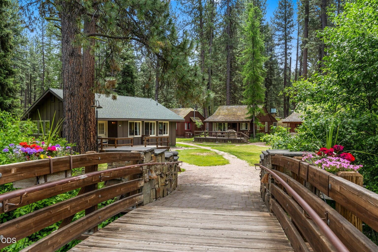 13375 Forest Service