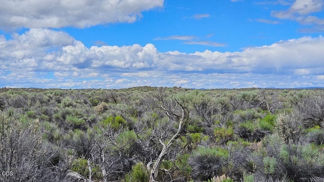 Photo of 1400 Off Fossil Lake Road 3 of 5