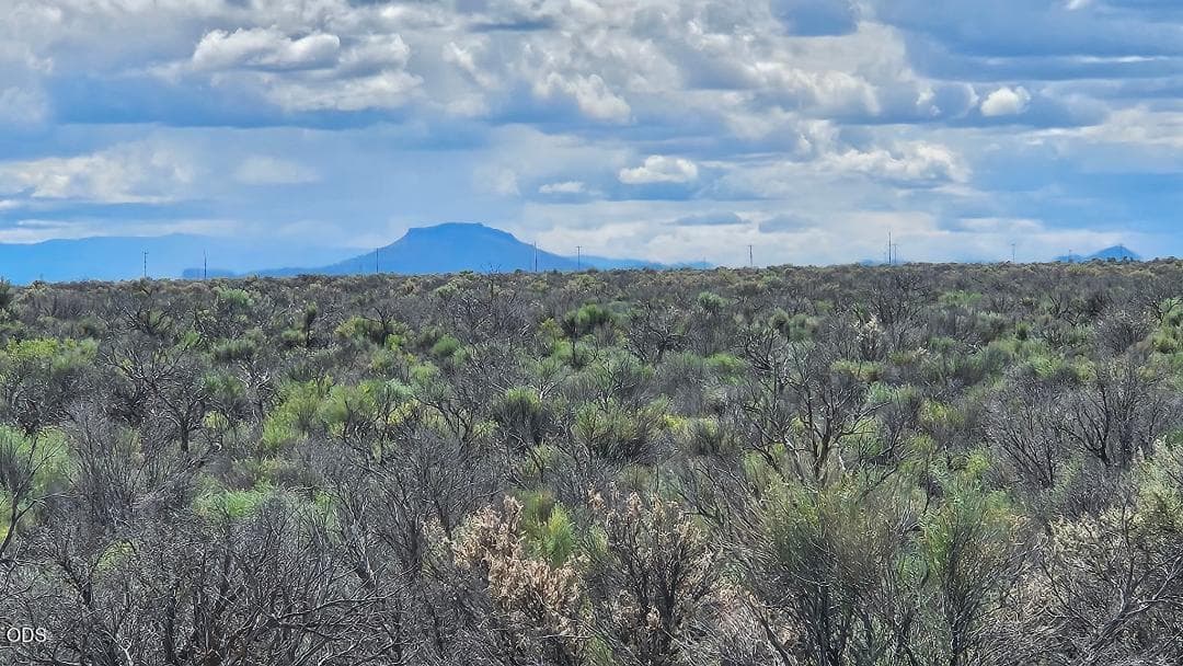 Photo of 1400 Off Fossil Lake Road 2 of 5