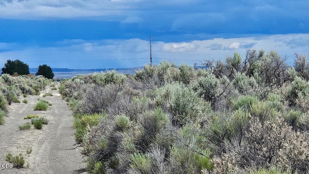 Photo of 1400 Off Fossil Lake Road 4 of 5