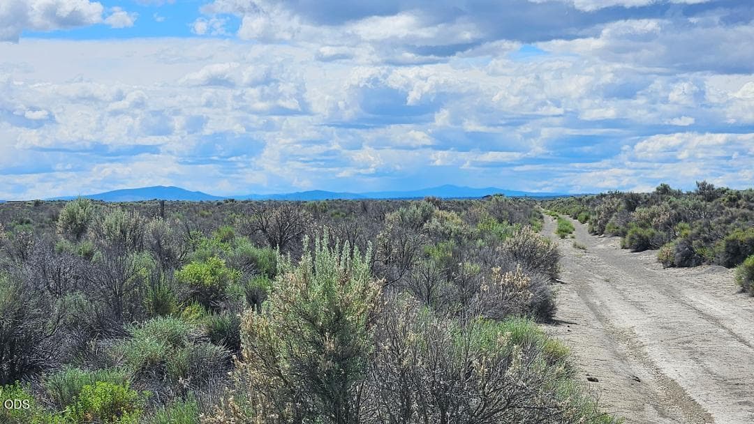 Photo of 1400 Off Fossil Lake Road 5 of 5