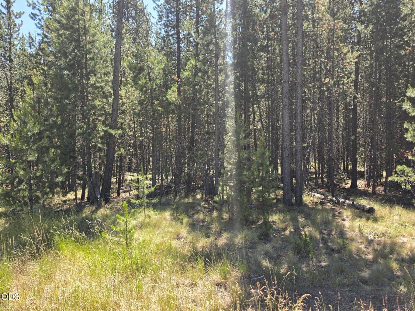 Photo of 17103 Laguna 4 of 8