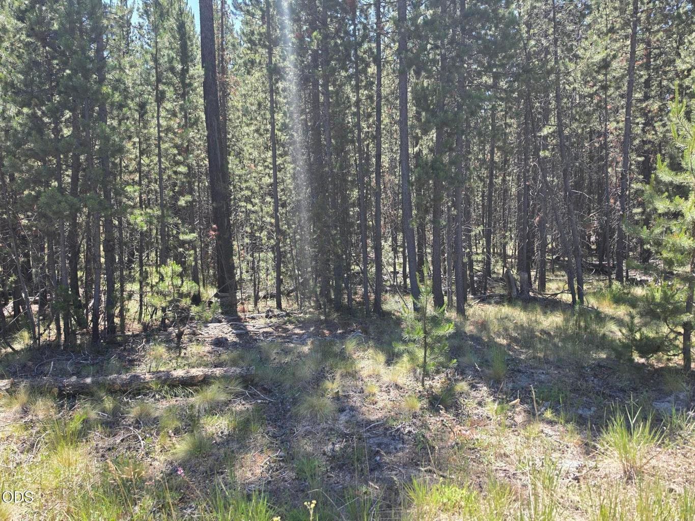 Photo of 17103 Laguna 5 of 8