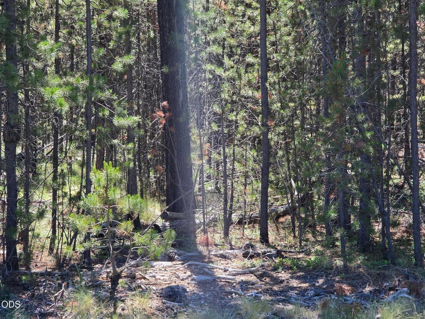 Photo of 17103 Laguna Road 7 of 8
