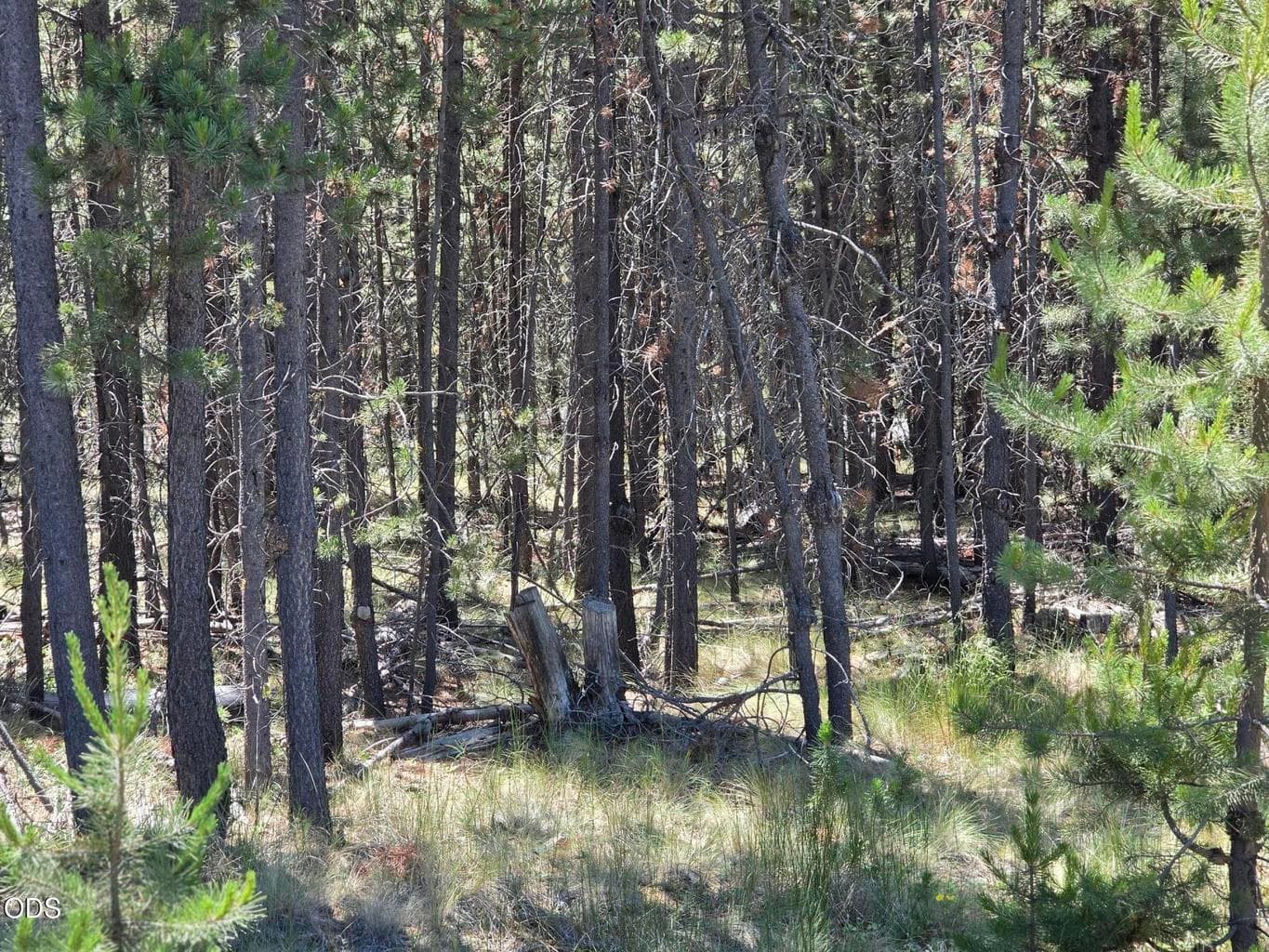 Photo of 17103 Laguna Road 8 of 8