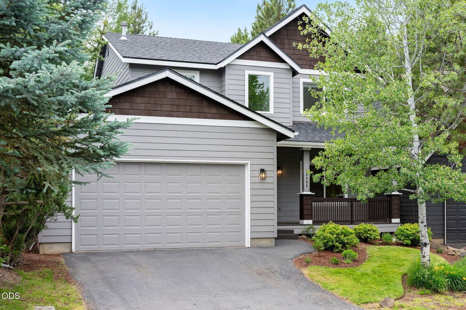 Driveway and front entry