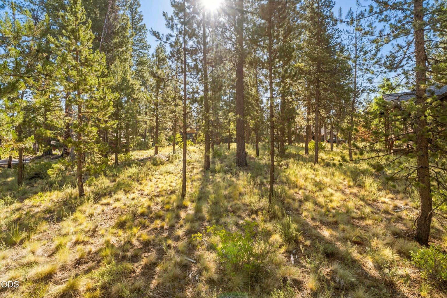 Photo of 56385 Trailmere Circle 8 of 25