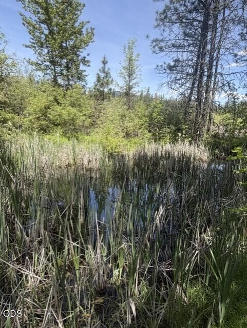 Secluded Year Round Pond