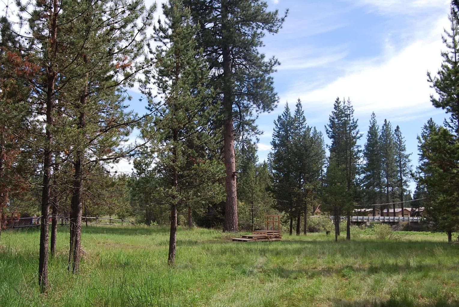 Photo of 16245 Bear 4 of 11