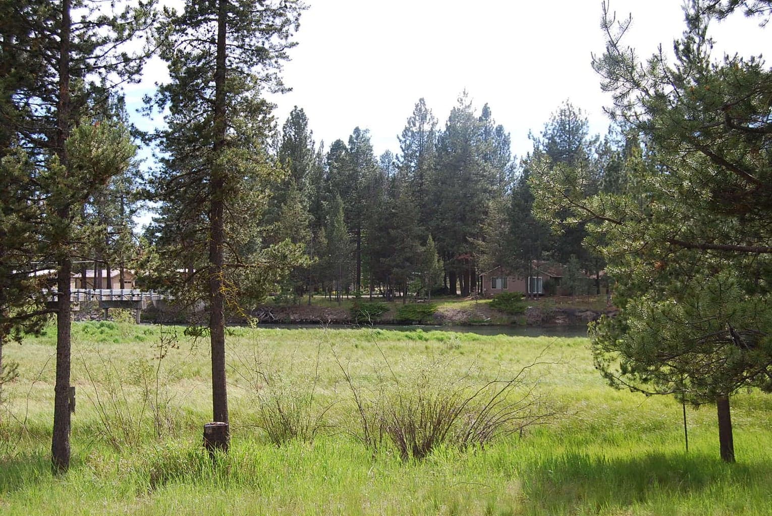 Photo of 16245 Bear 5 of 11