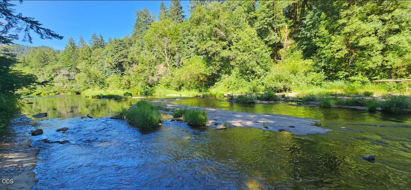 Photo of 28593 Lower Smith River 4 of 17