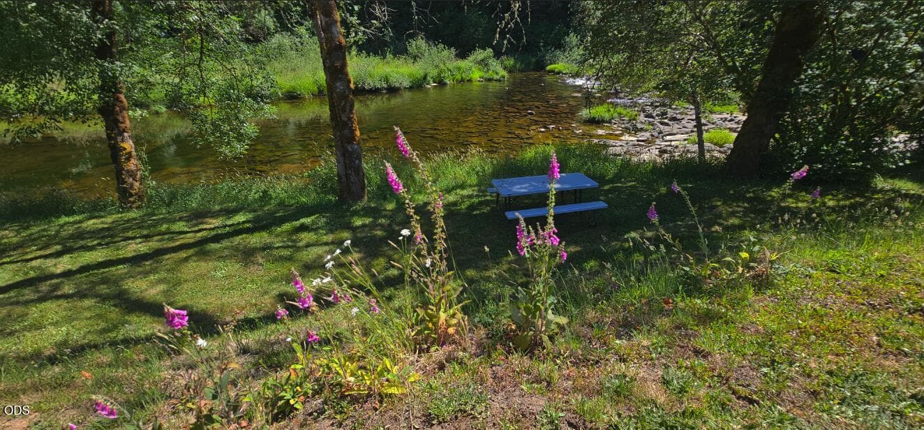 Photo of 28593 Lower Smith River 3 of 17