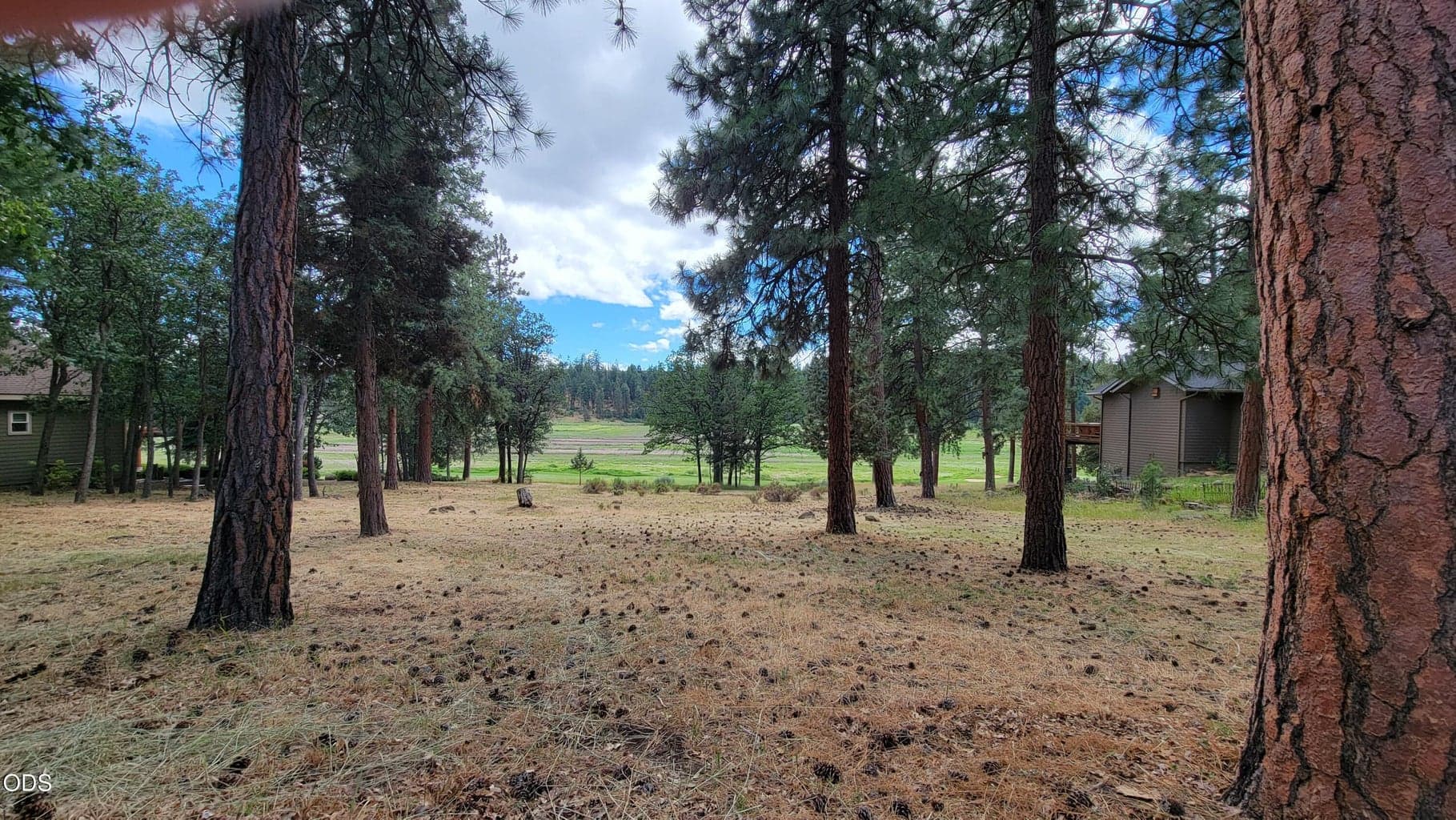Photo of 0 Merganser Road 4 of 12
