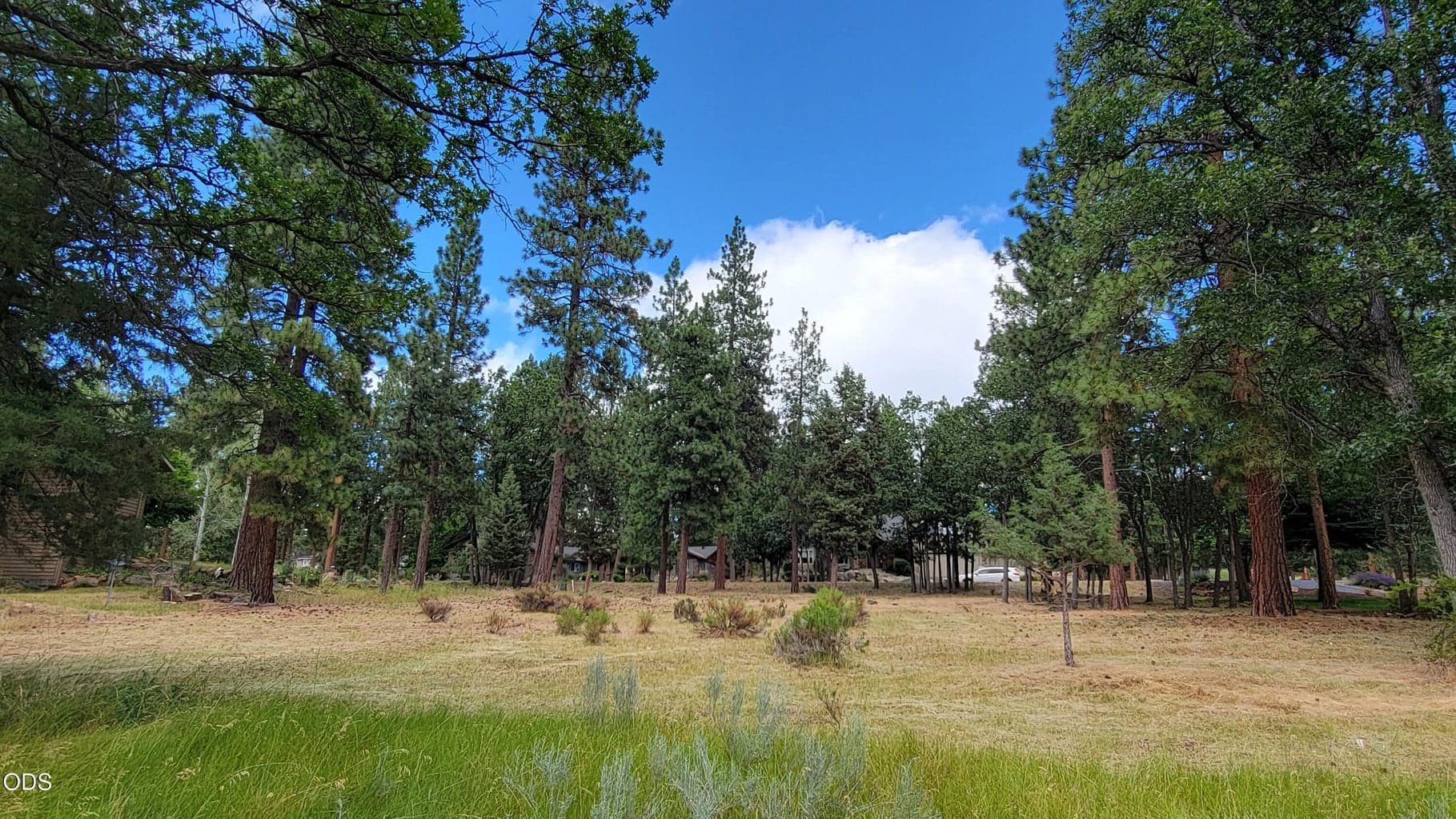 Photo of 0 Merganser Road 3 of 12