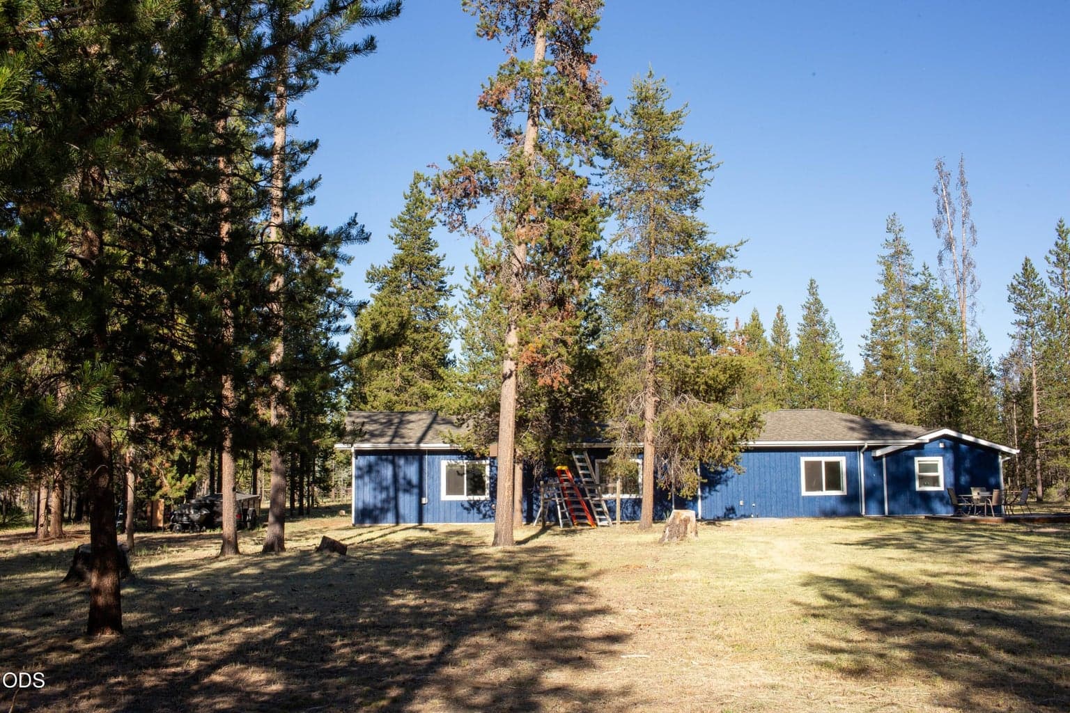 Photo of 52505 Pine 3 of 34