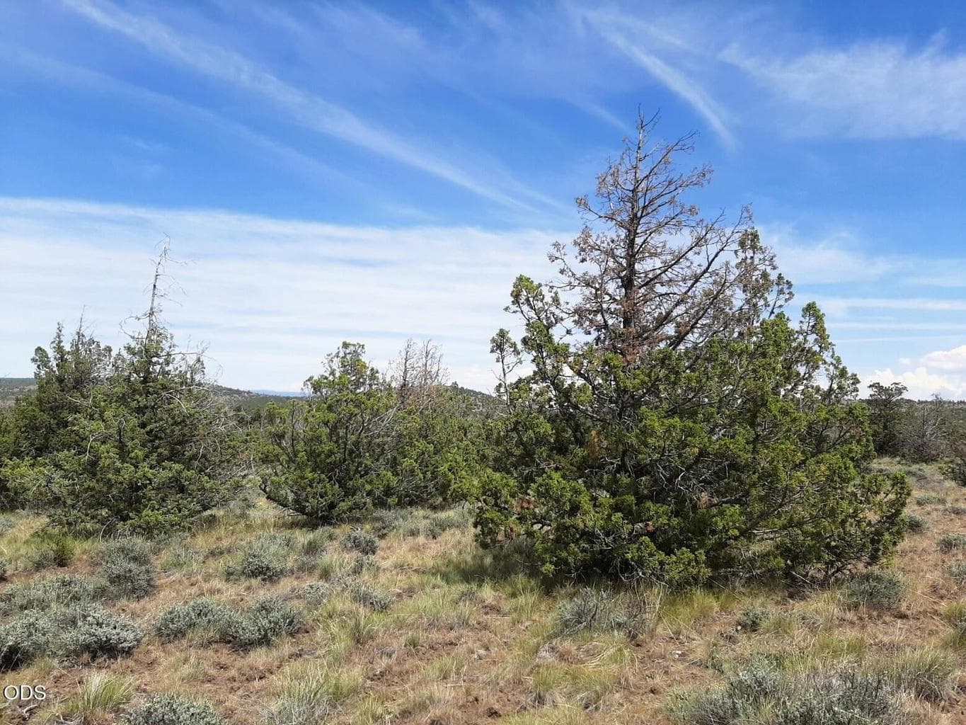 Photo of Weatherby 5 of 14