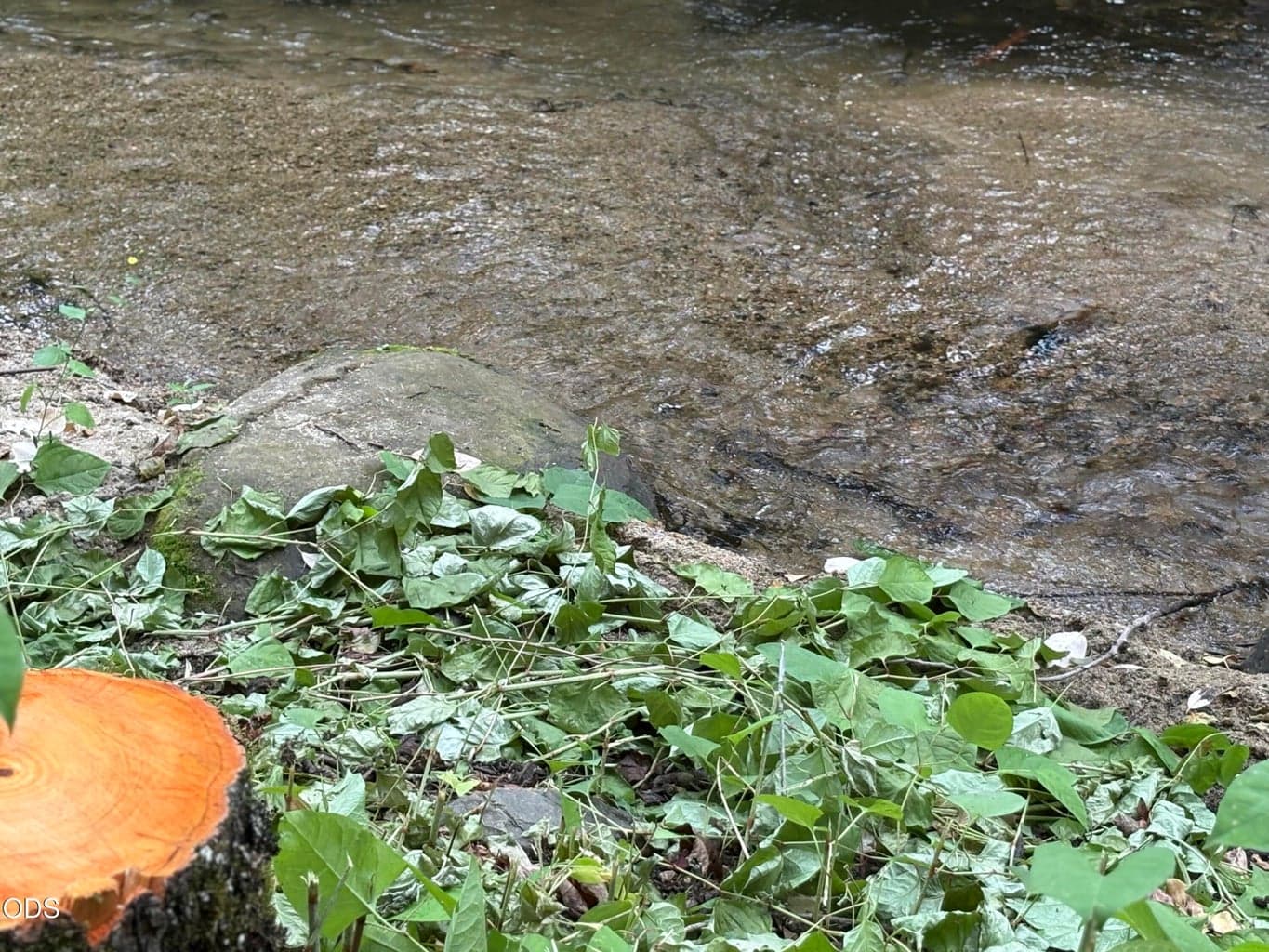 Photo of 1600 Neil Creek 3 of 9